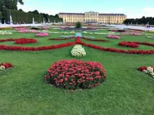 Schonbrunn's baroque gardens