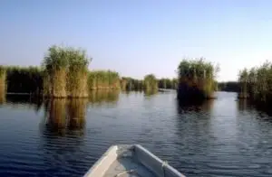 Austria Travel Guide: Lake Neusiedl