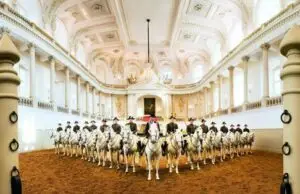 © Spanische Hofreitschule / M. Rzepa