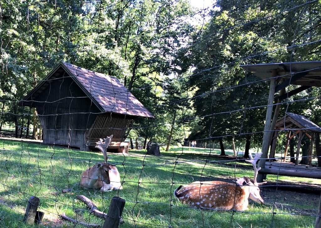 Best place to live: Vienna's Lainzer Nature Reserve