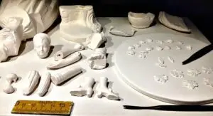 Augarten: porcelain pieces