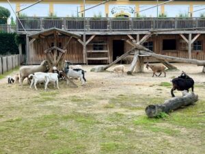 Schloss Hof, animal enclosure